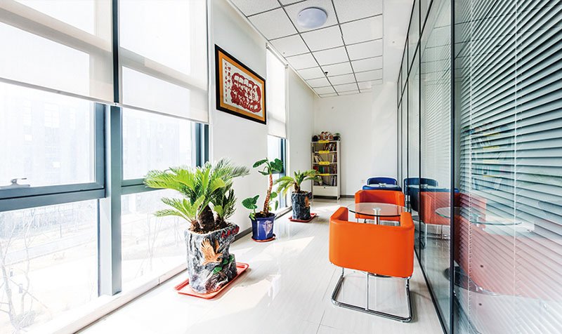 The Lounge