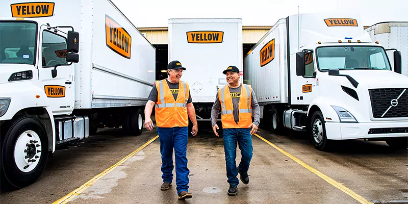 Yellow logistic