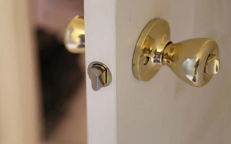 Spring Lock Door Handle