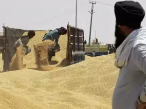 india wheat storage areas